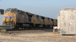 IMG_8005a.jpg