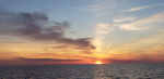 20180523_201958.jpg