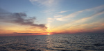 20180523_202016.jpg