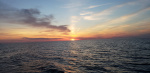 20180523_202032.jpg