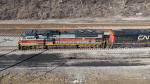 DJI_0184a.jpg