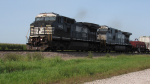 IMG_8137a.jpg