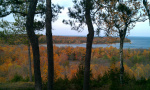 2012-10-17 11.42.53.jpg