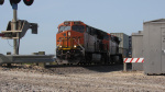 IMG_8193a.jpg