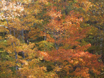 Door County 2006 009.jpg