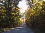 Picture 001.jpg