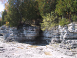 Picture 019.jpg