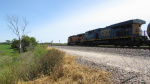 IMG_8228a.jpg