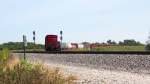 IMG_8244a.jpg