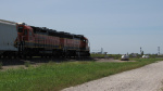 IMG_8251a.jpg