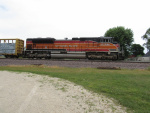 IMG_1135.JPG