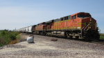 IMG_8316a.jpg