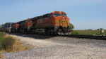 IMG_8337a.jpg