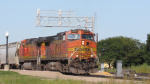 IMG_8426a.jpg