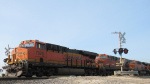 IMG_8026b.jpg