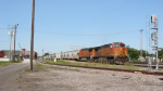 IMG_8431a.jpg