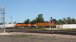 IMG_8446a.jpg