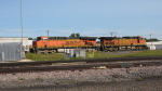 IMG_8450a.jpg