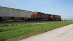 IMG_8070a.jpg