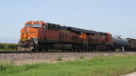 IMG_8090a.jpg